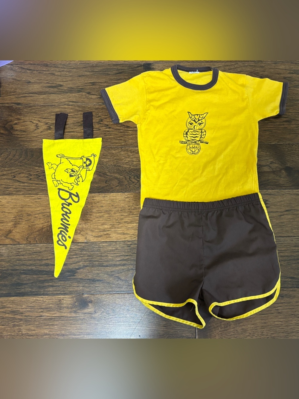 Vintage Brownies Camp Uniform with Pennant
